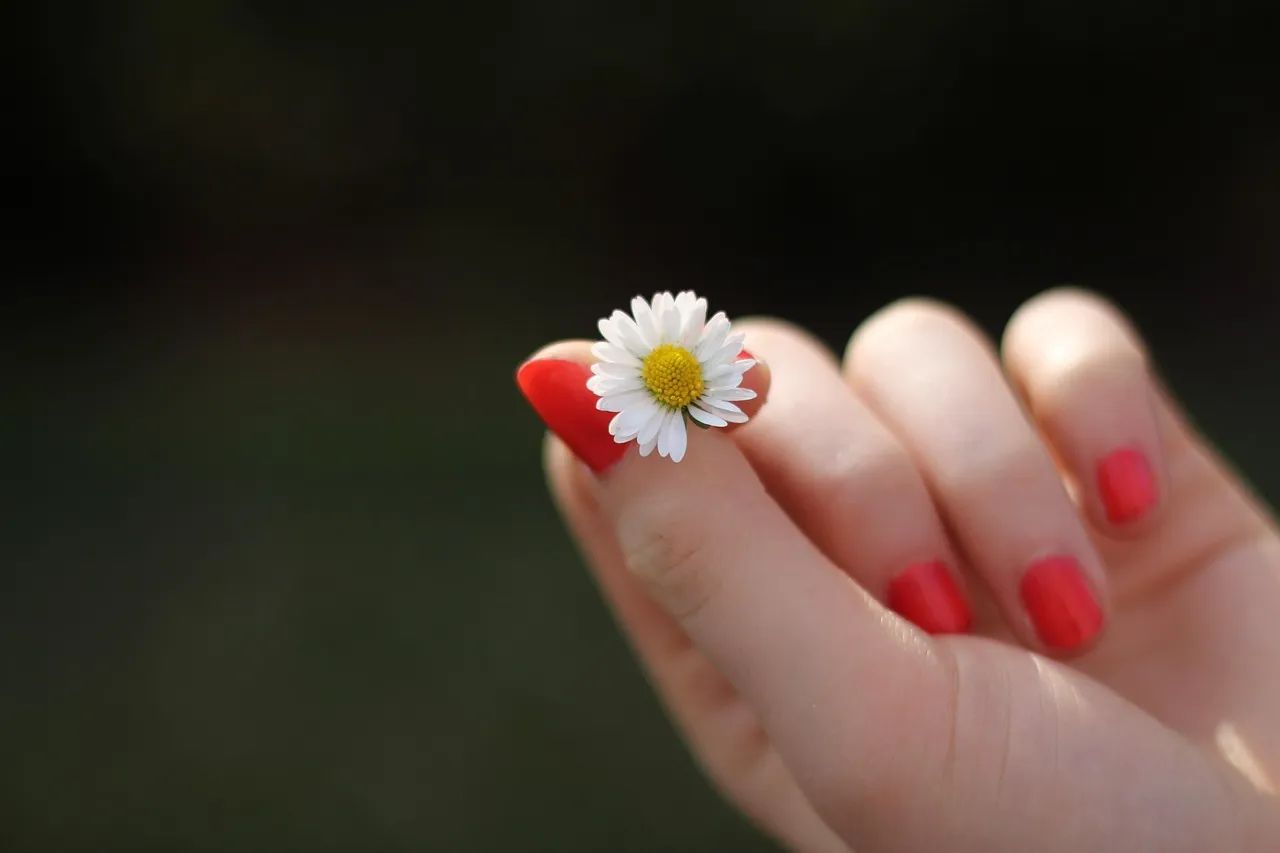 Ideas creativas para decorar un centro de estética con estilo 1 Imagen aleatoria