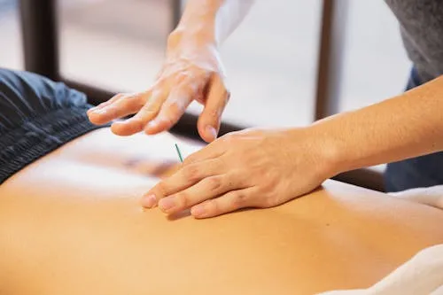 Estrategias efectivas para la venta cruzada en fisioterapia 2 Imagen aleatoria