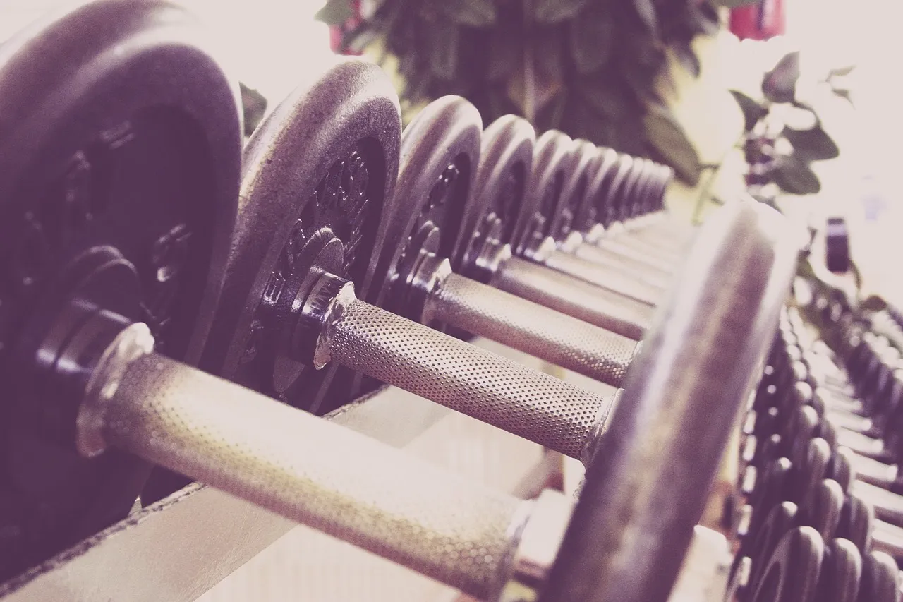Las mejores opciones de productos de gimnasio marcas para tu negocio 1 Imagen aleatoria